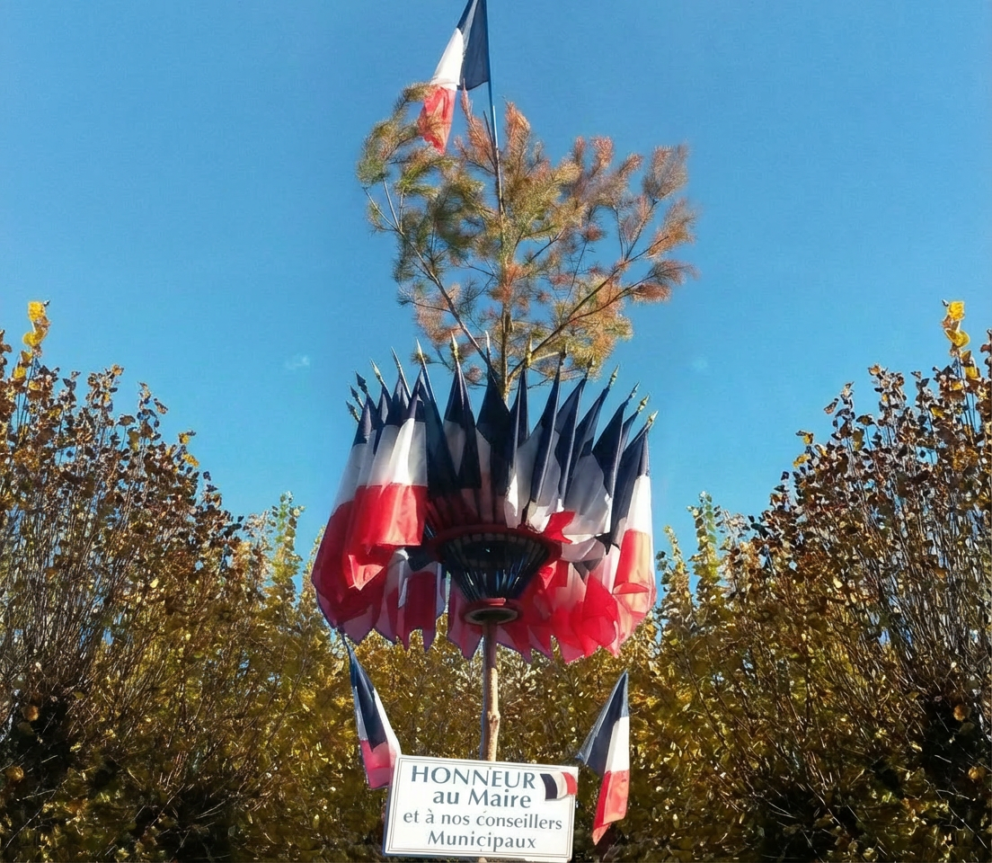 image-1218262-20200116-ob_f4ae70_20141119-143057